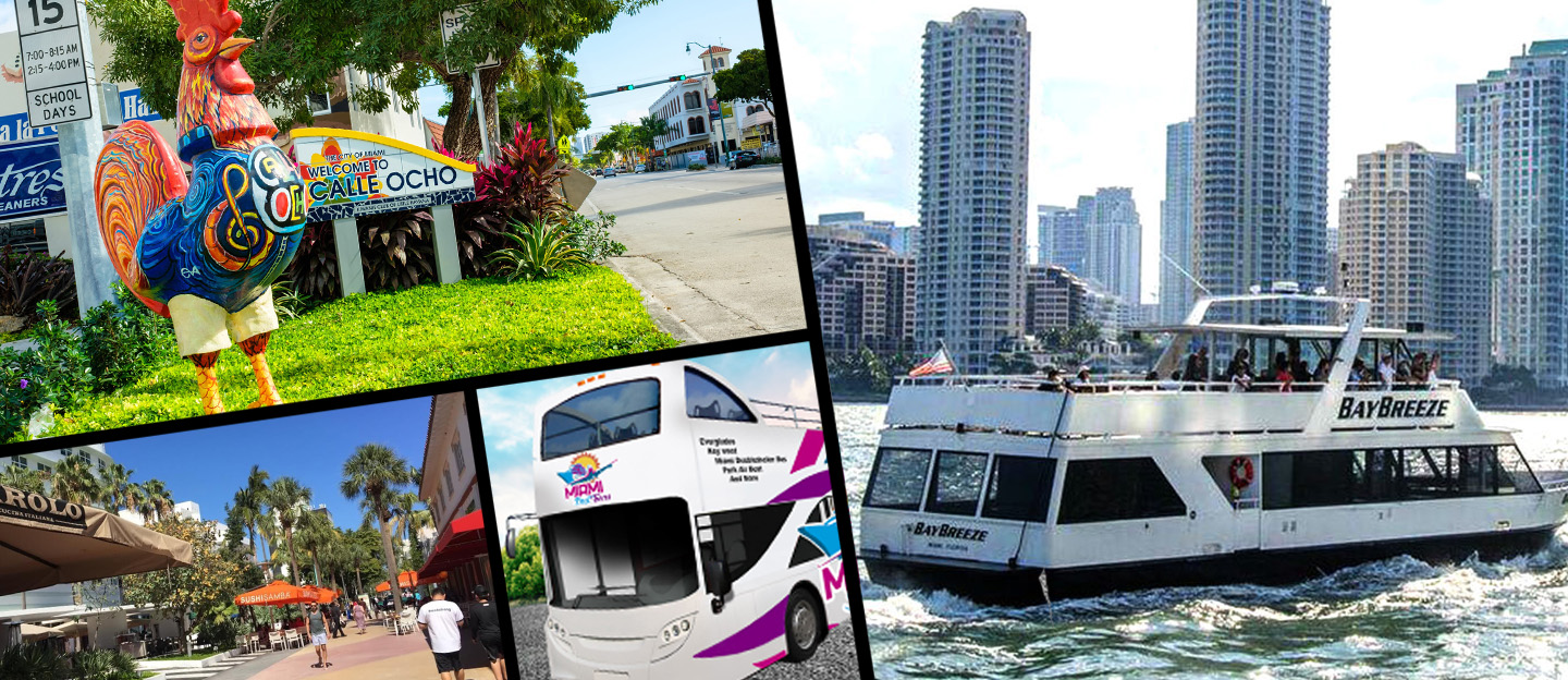 City Half Day Tour of Miami (Hop on Hop Off) by Bus with Sightseeing Cruise